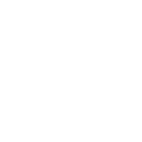 Jake Allen's Logo